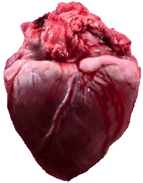 beating heart